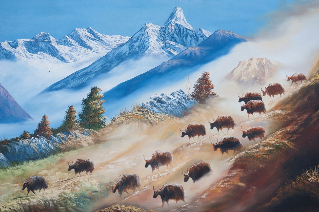 艺术; 阿玛达布拉姆山下一群牦牛的画； 乡村生活; 加德满都画廊； 尼泊尔； 亚洲 作者 不明