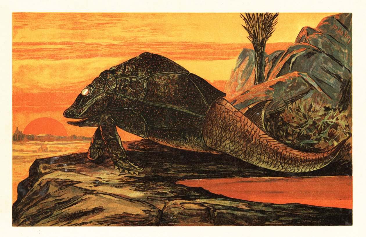 Asterolepis cornutus，已灭绝的镀盔甲鱼种，1908 年（石版画） 作者 未知艺术家