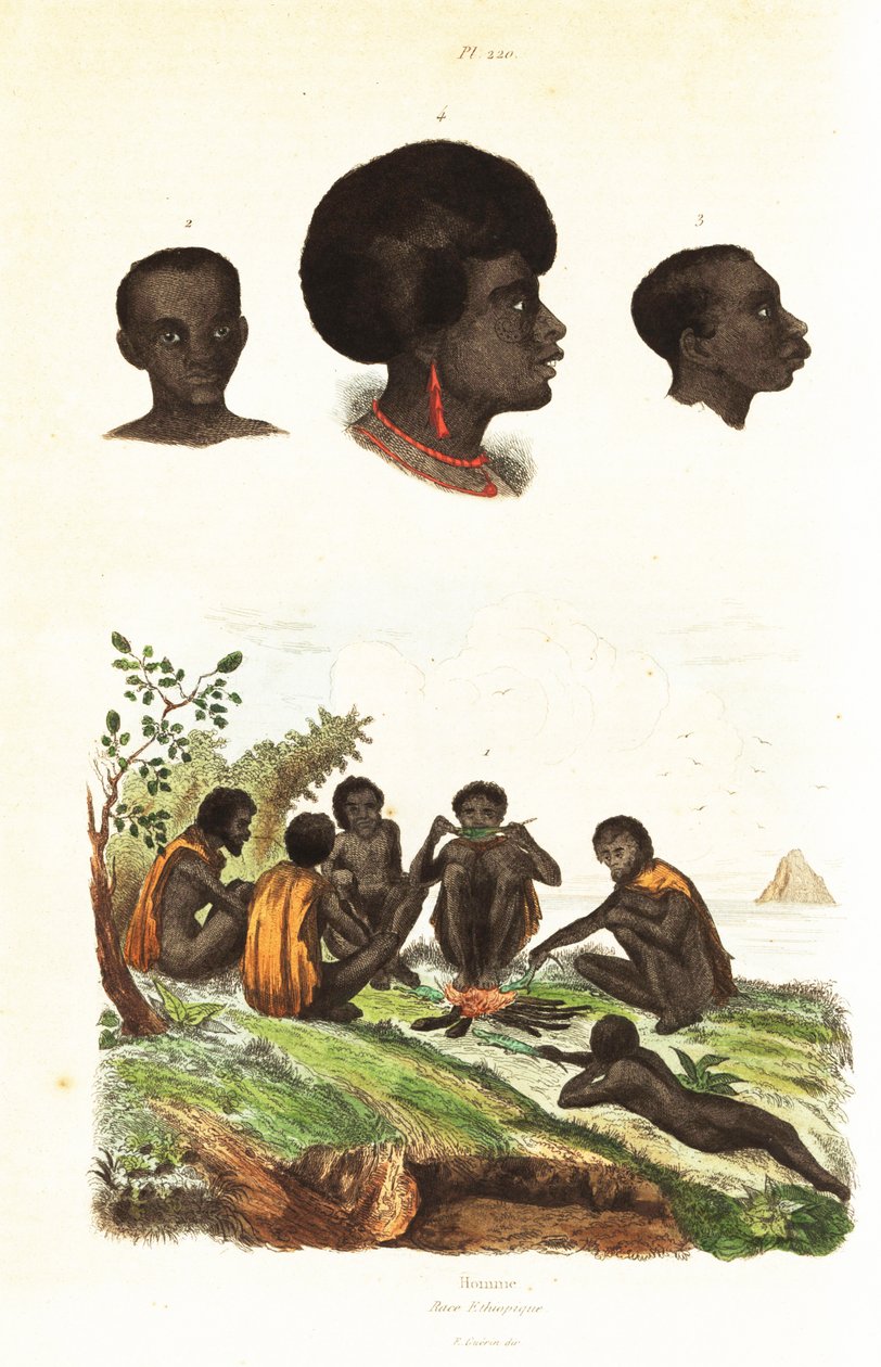 澳大利亚原住民和西巴布亚韦吉奥原住民的头像 1834-1839 年（雕刻） 作者 未知艺术家