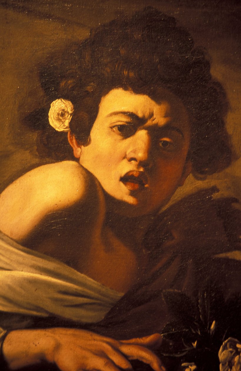 Boy bitten by a lizard (detail), Caravaggio work of art, Palazzo Ducale, Genoa, Ligury, Italy 作者 不明