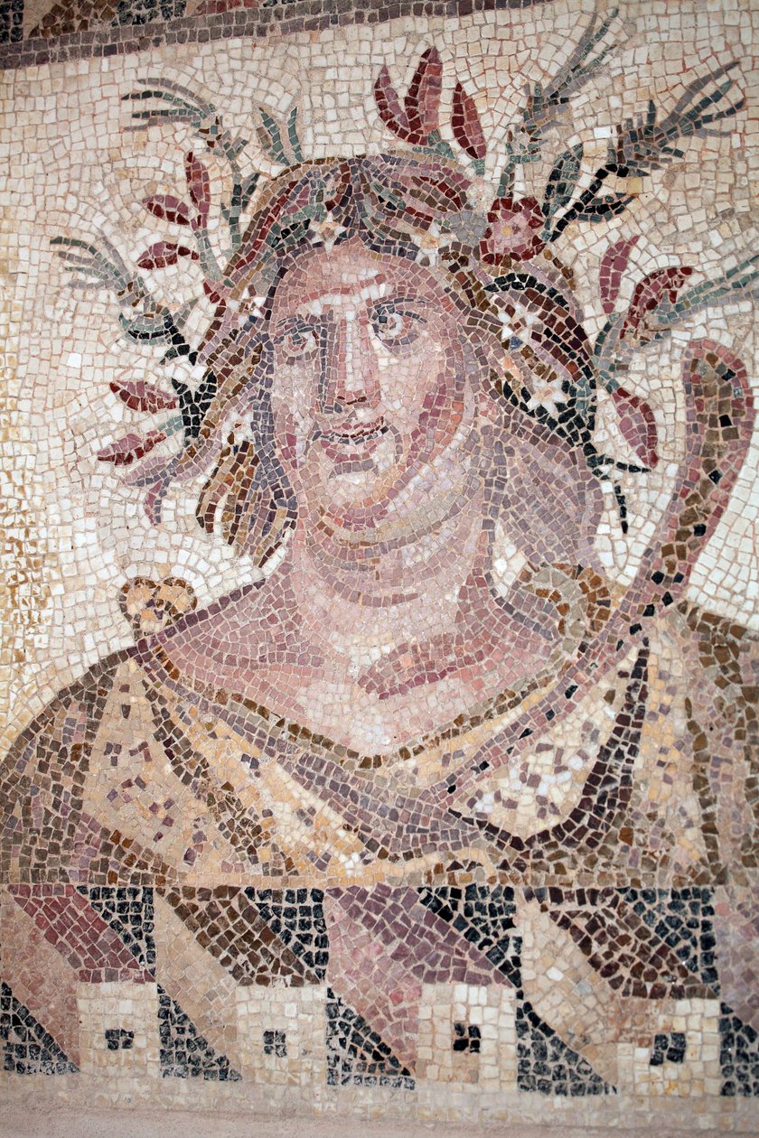 Bust of Autumn - Detail of the Four Season panel - Paphos mosaics, House of Dionysos - End of the 2nd Century AD - Cyprus - Personification of the Autumn - Detail of the mosaic of the four seasons - Mosaics of Paphos, House of Dionysus - End II Century aft 作者 不明
