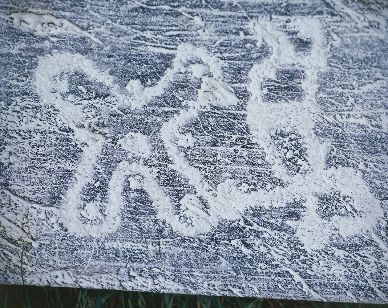 卡穆尼亚玫瑰，瓦尔卡莫尼卡谷地岩石雕刻的副本，炭笔画，涂沫技术 作者 未知艺术家
