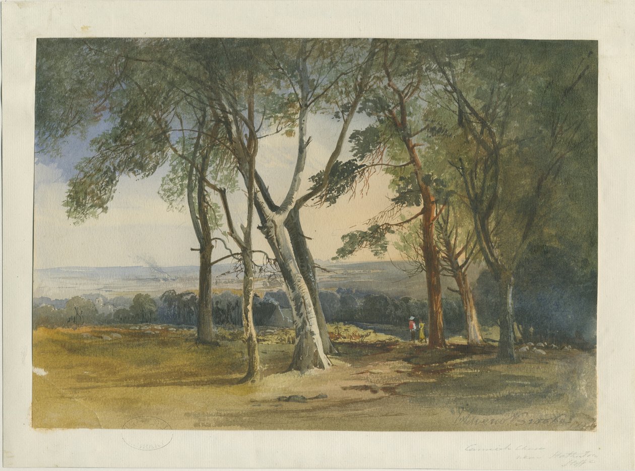 Cannock Chase：水彩画，1848年 作者 不明