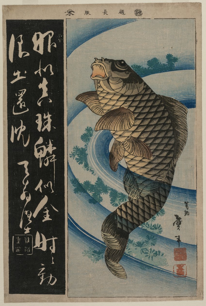 鲤鱼和水草c。 1830年代初（彩色木刻版画） 作者 不明
