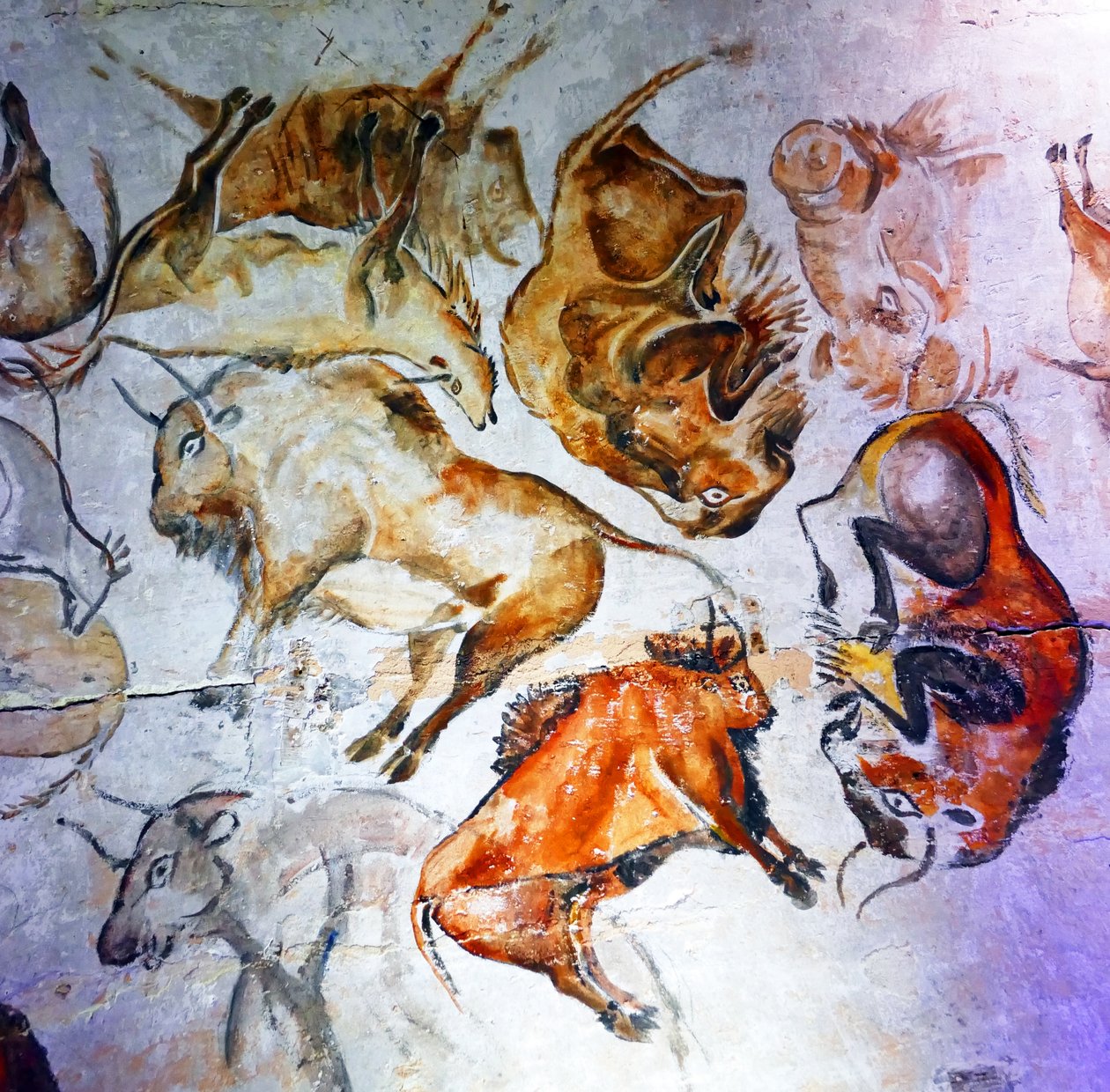 在阿尔塔米拉洞穴发现的石窟壁画（图片） 作者 未知艺术家