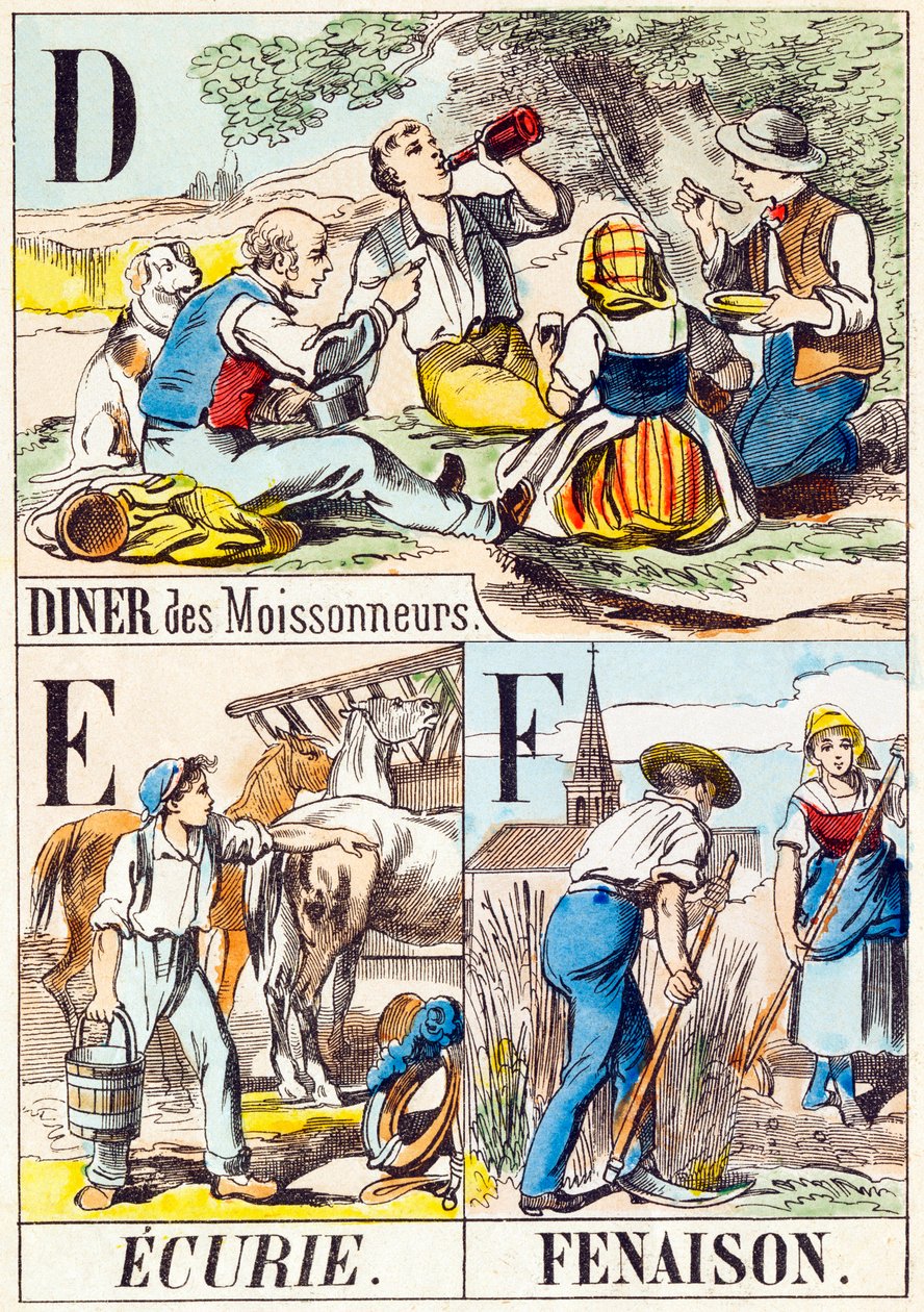 D E F : Diner des moissonneurs, Ecurie, Fenaison - "农场的字母表" 19世纪末（雕刻）。 作者 不明