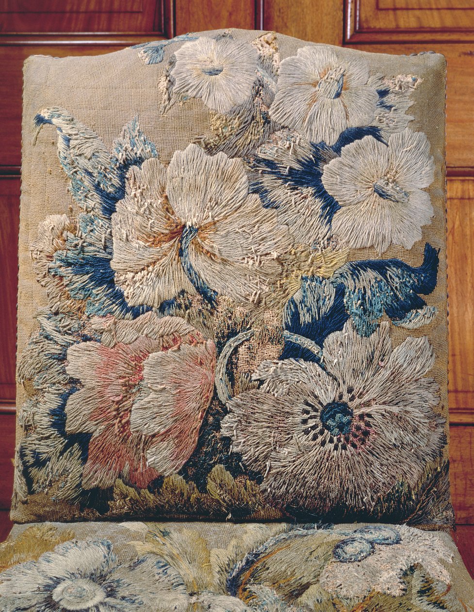 由 Jane Allgood 设计的封面细节，双线和真丝雪尼尔长针和短针的特大花朵，帐篷针的旧金色背景 作者 不明