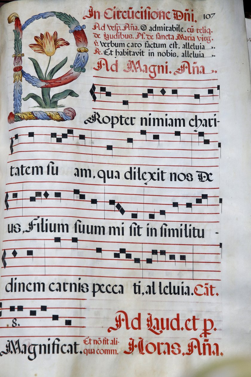 加利莱之家（Domus Galilaeae）是由天主教组织Neocatechumenal Way, Antiphonary, The Circumcision of Jesus, , Mount of Beatitudes, Israel管理。 作者 不明