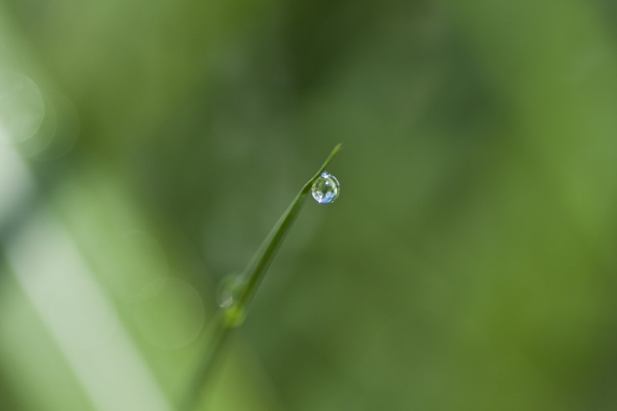 水滴（照片） 作者 未知艺术家