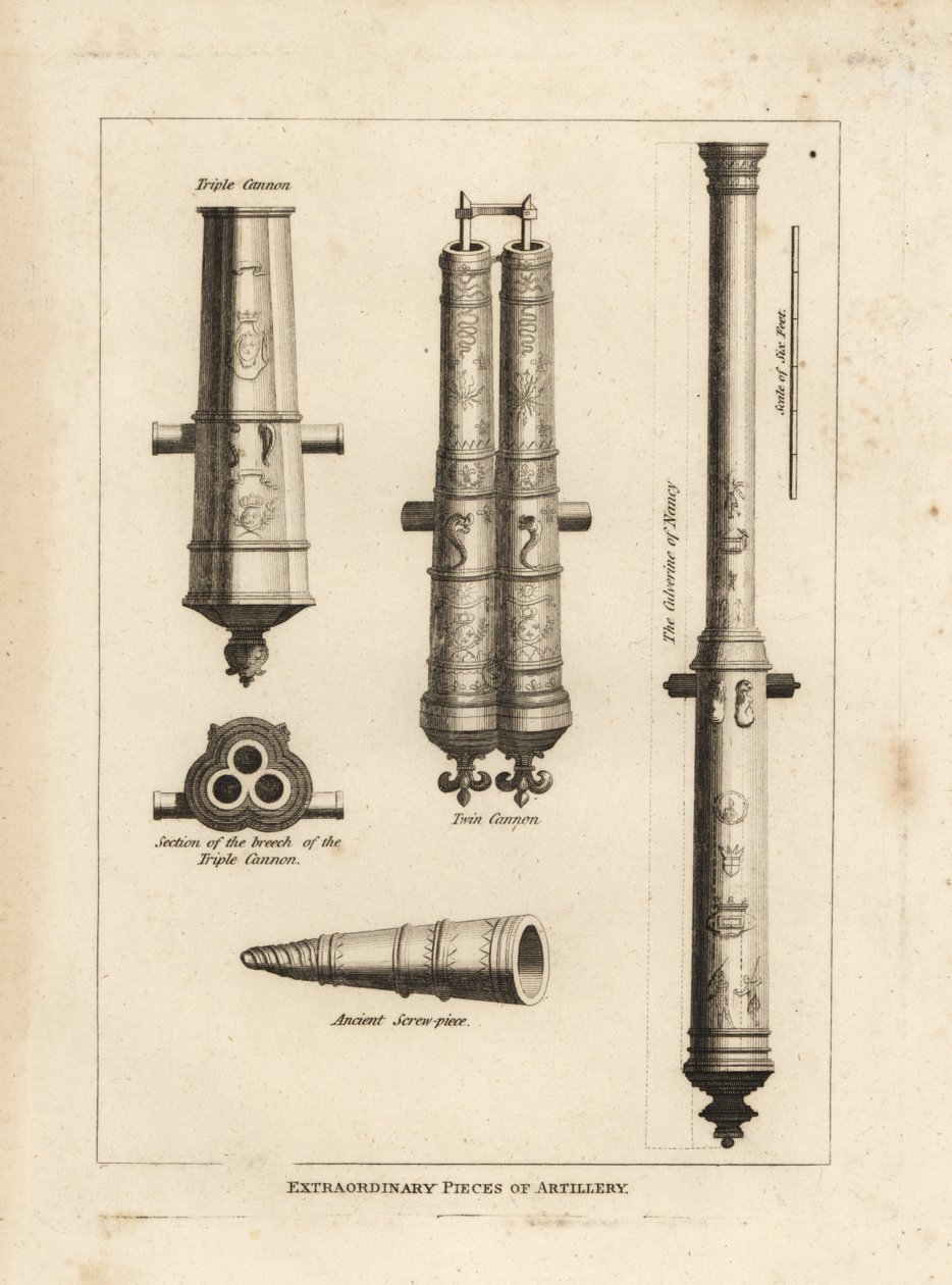 Extraordinary pieces of artillery: view and section of the culverine of Nancy, a triple cannon, a twin cannon and an ancient screwpiece 作者 不明