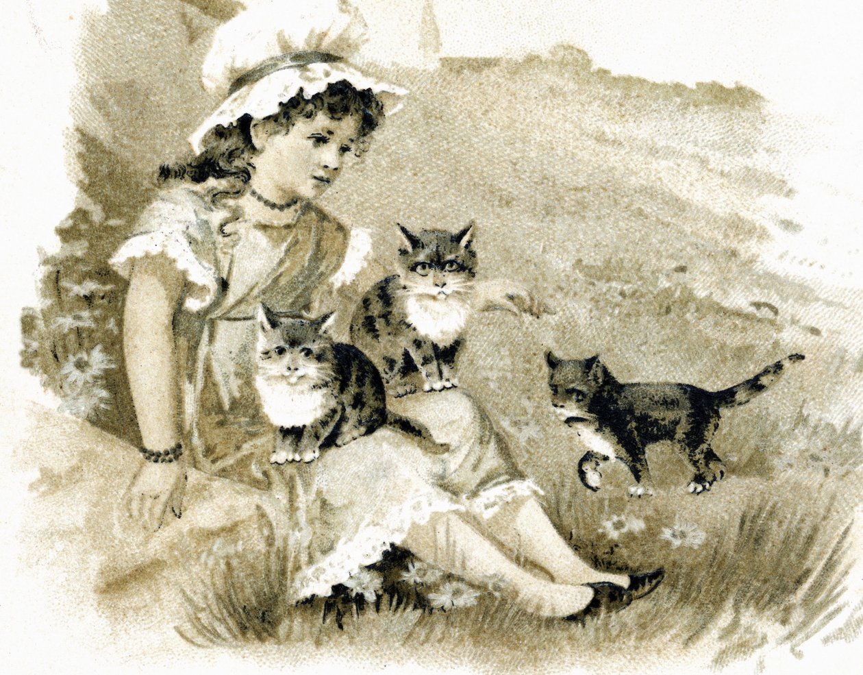 女孩带着跪在地上的猫咪回来。1900年左右的明信片。铬平版印刷 作者 不明