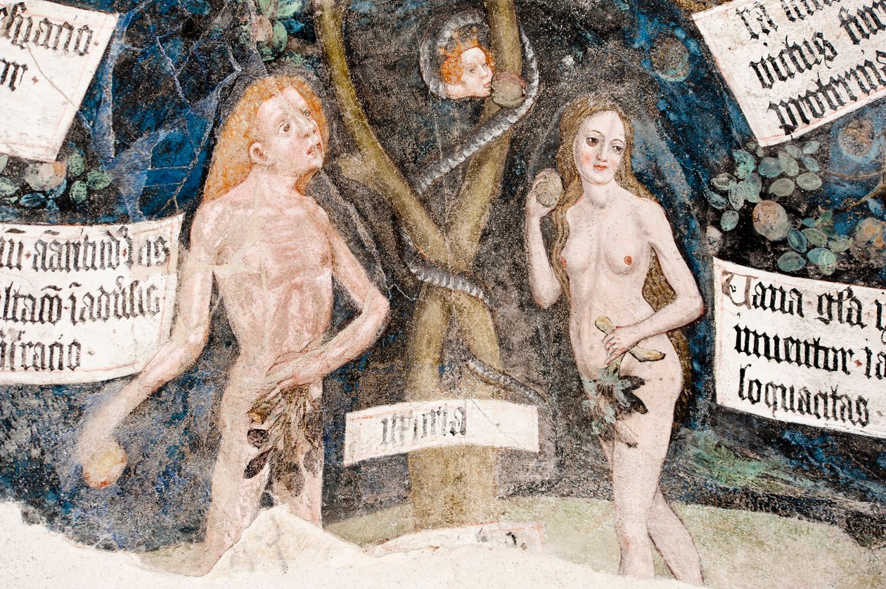 哥特式壁画； 亚当和夏娃犯罪； 与蛇； 8. 回廊； 大教堂; 布里克森; 南蒂罗尔； 意大利; 欧洲 作者 不明