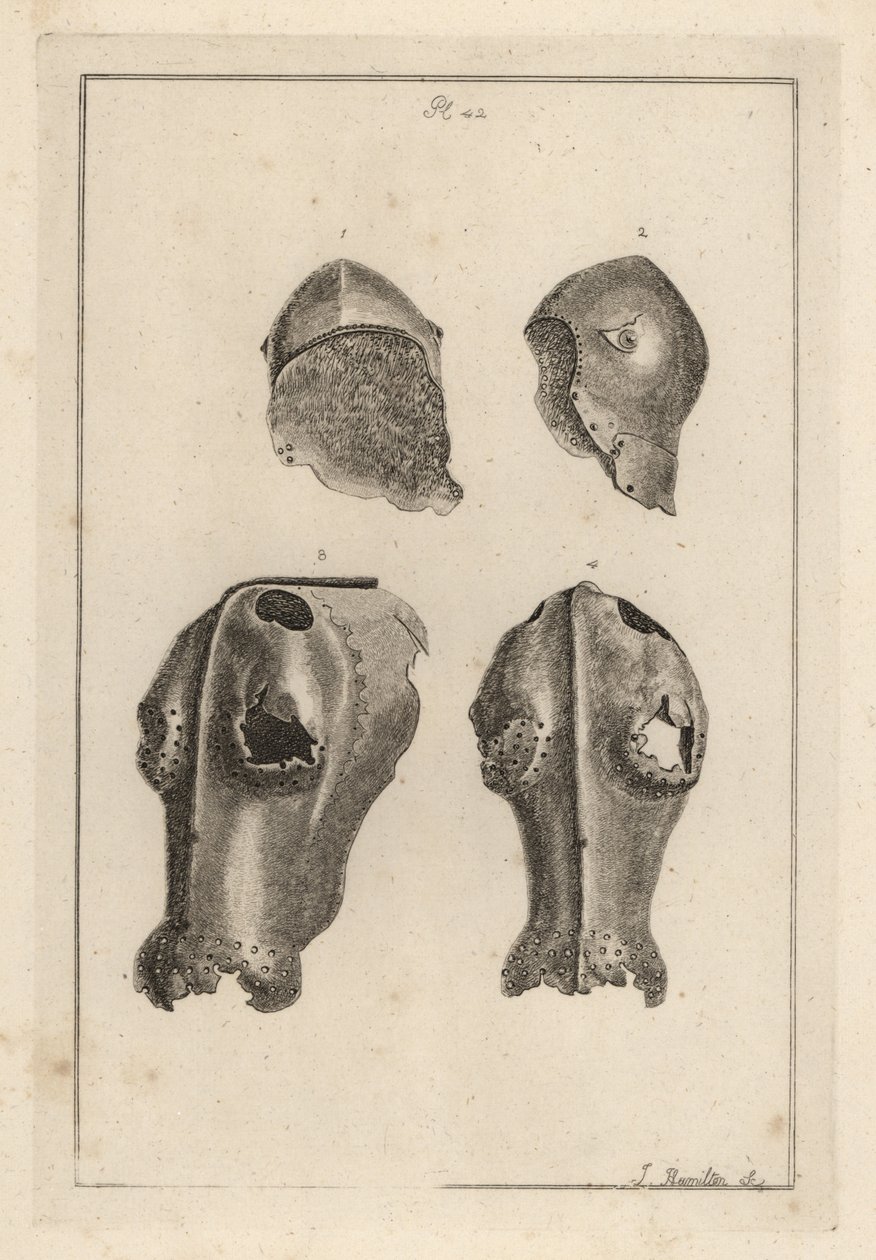 Helmet 1,2, and iron chanfron or chafron 3,4 that belonged to Guy, Earl of Warwick 作者 不明
