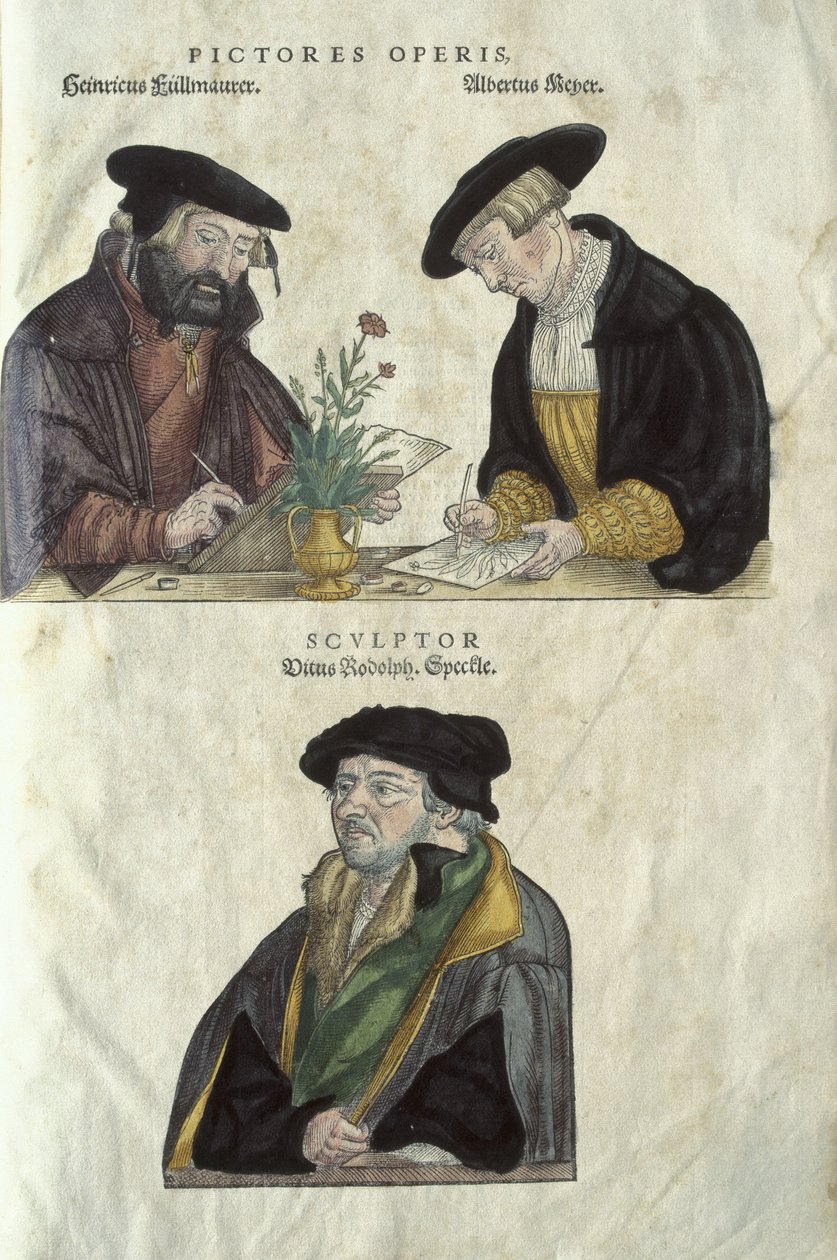 Herbals Albrecht Mayer, Veil Rudolph Speckle and Heinrich Fullmaurer 作者 不明