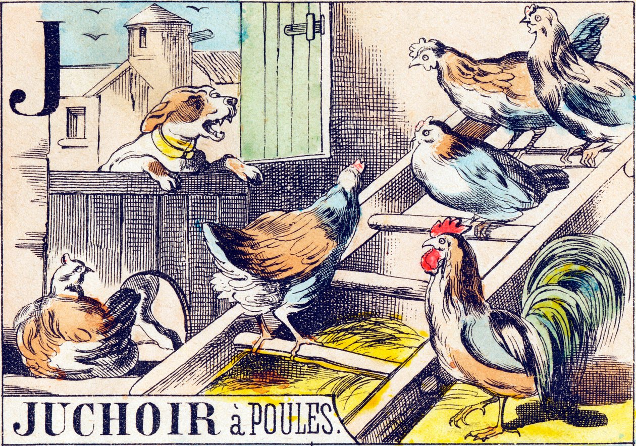J Juchoir a poules - "农场的字母表" 19世纪末（雕版画 作者 不明