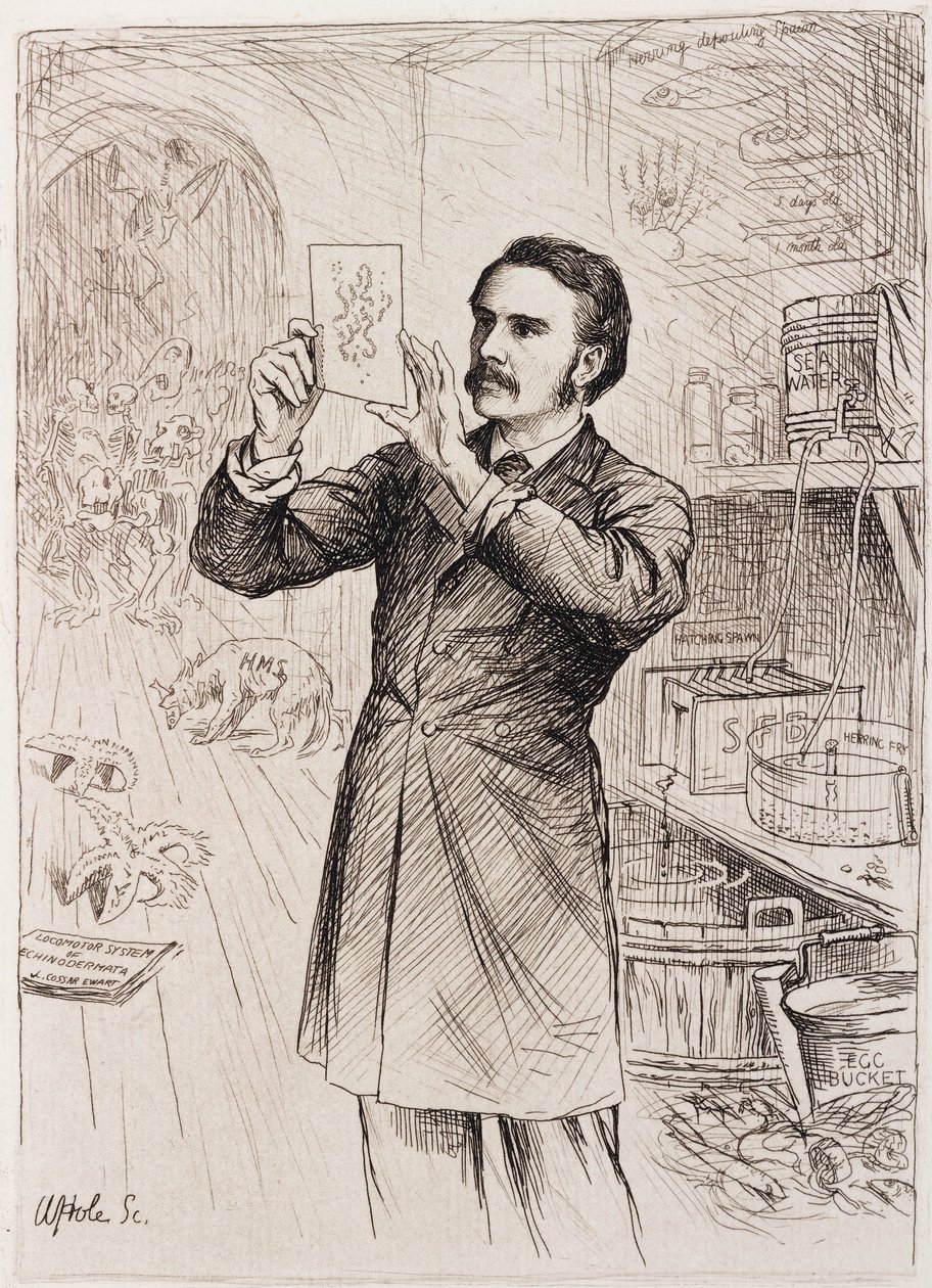 James Cossar Ewart，动物学家 作者 不明