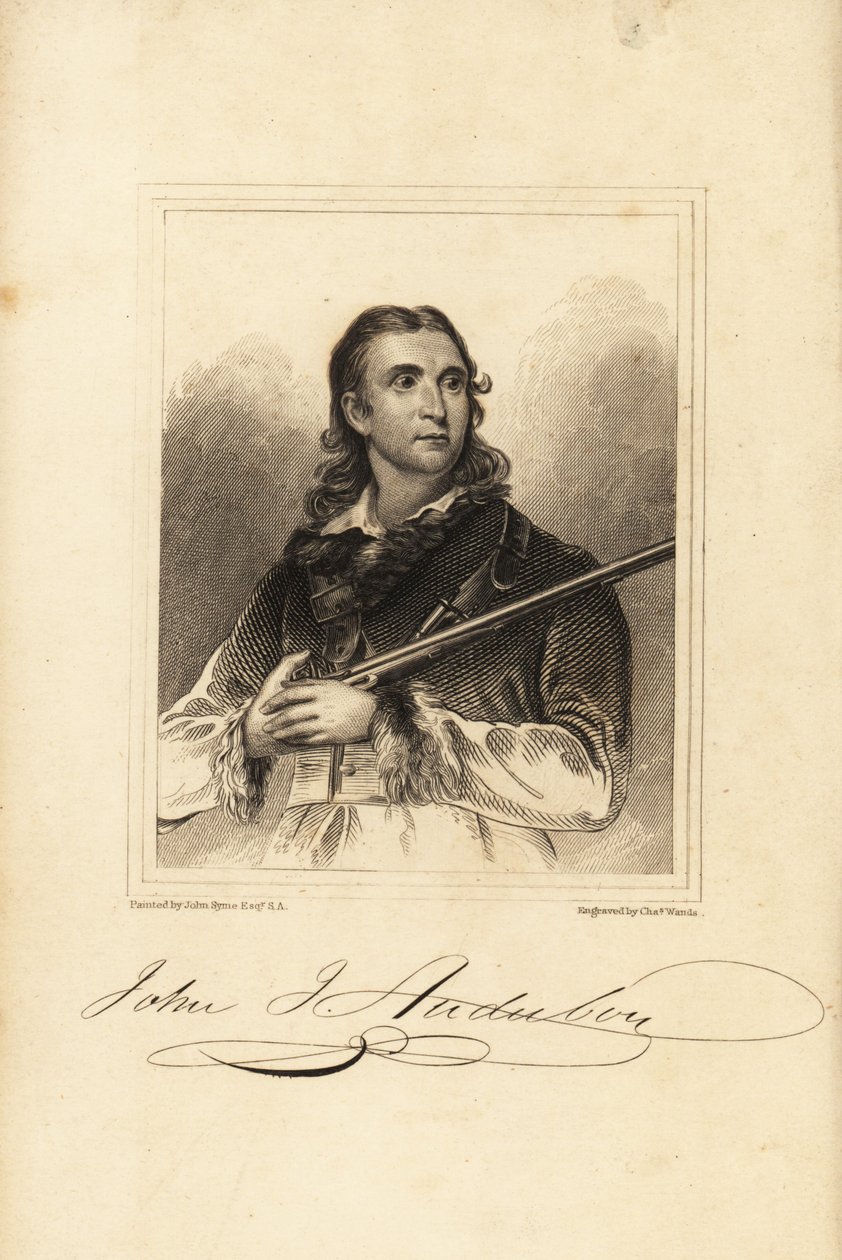 John James Audubon, American ornithologist, naturalist, and painter 作者 不明
