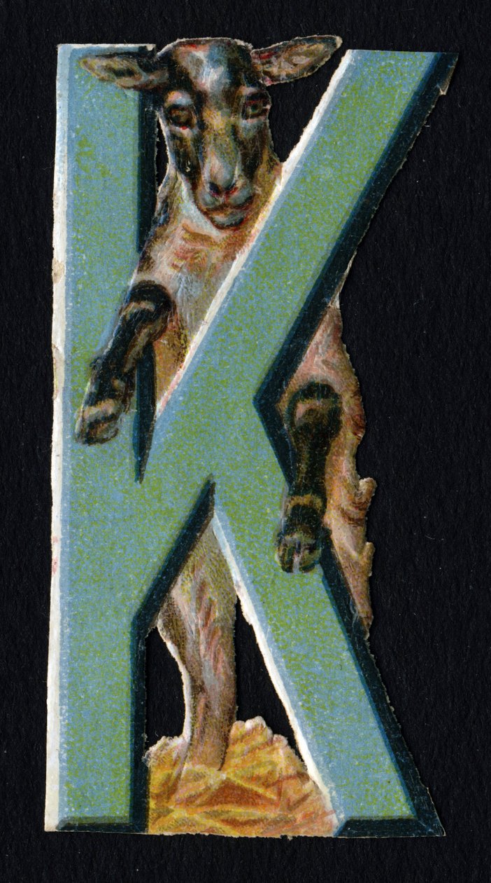 K像卡拉库尔.以动物为主题的甲虫装饰画。雕刻。一系列26幅源自英国的华夫饼干色板画。编辑和插图作者不详。19世纪末。规格：5,5x3,5cm 作者 不明