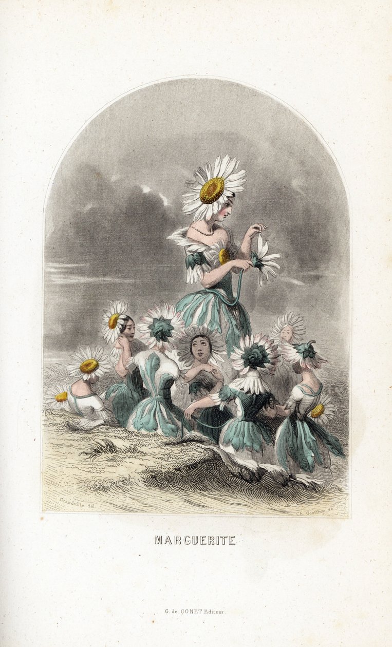 Les fees des daisies des pres, top with flower hats, one leaves the petals of a daisy - Eau forte by Charles Geoffroy (1819-1882), after an illustration by Jean Ignace Isidore Gerard dit J.J.Granville (1803-1847), for Les fleurs animees 作者 未知艺术家