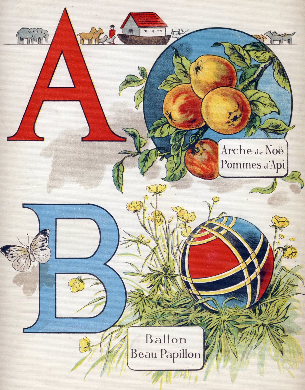 字母 A 和 B：诺伊方舟、Apy Apple、气球和美丽的蝴蝶。 雕刻在“ABC L