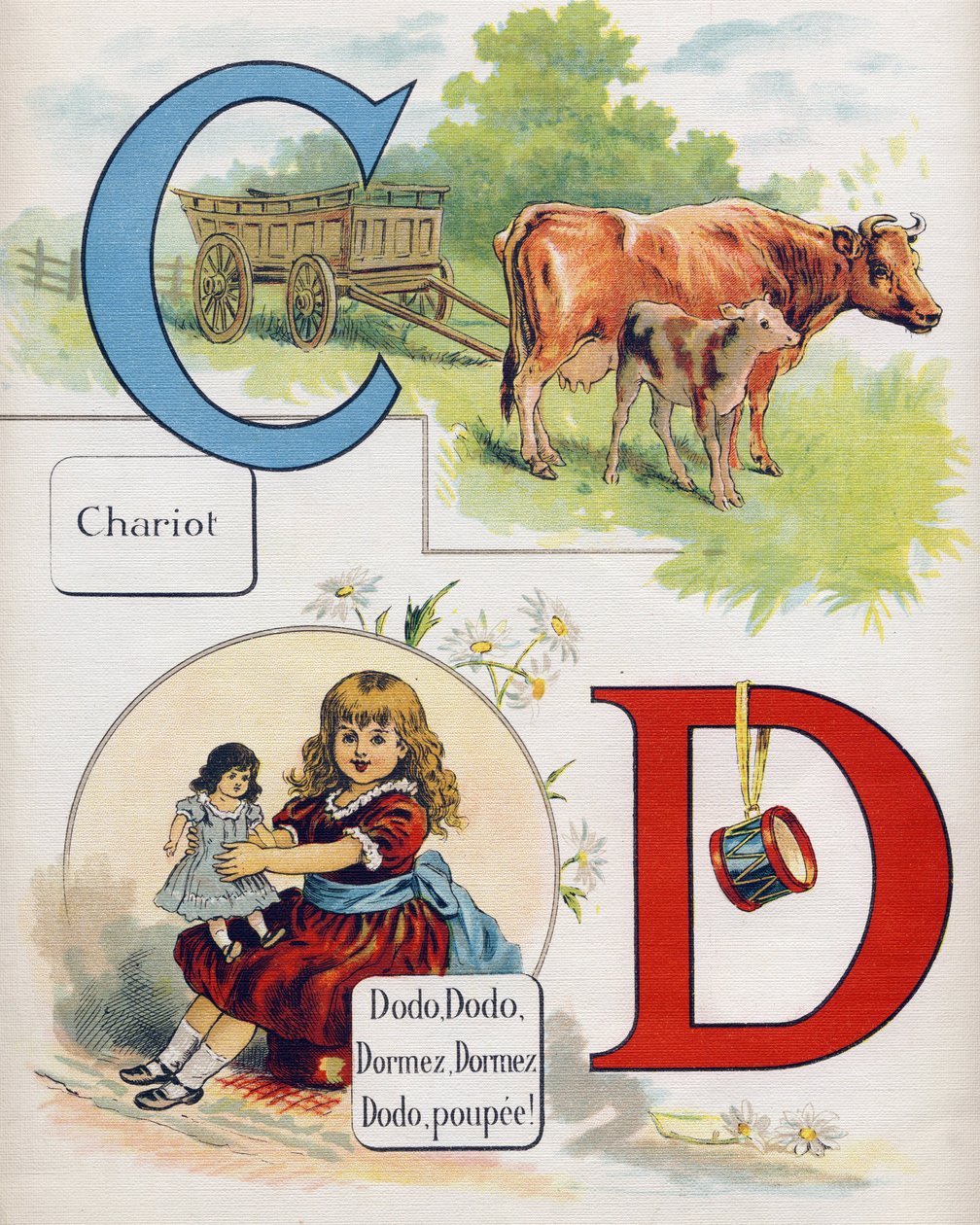 字母C和D：推车和睡觉，睡觉，睡觉，睡觉，睡觉的娃娃。在 "ABC L