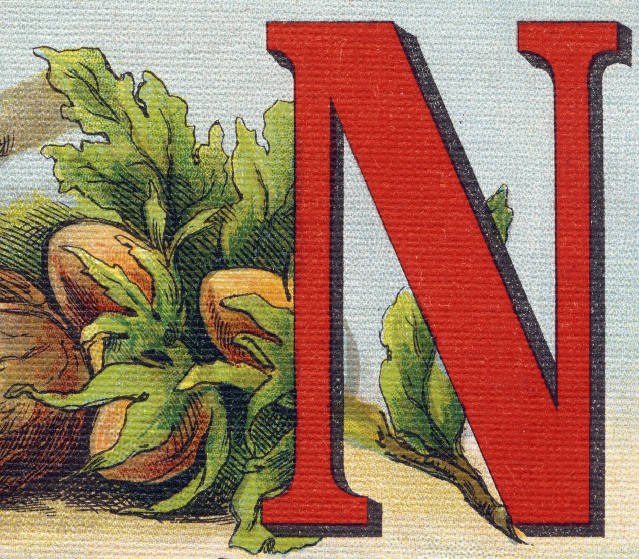 字母 N：榛子。 雕刻“Alphabet de ma petite fille”。 Bernardin-Bechet 和 Fils，书商出版商，巴黎，约 1895 年。坚不可摧的画布专辑。 贝贝斯图书馆。 12 页。 包含阅读方法和说明性 abec 的专辑 作者 不明