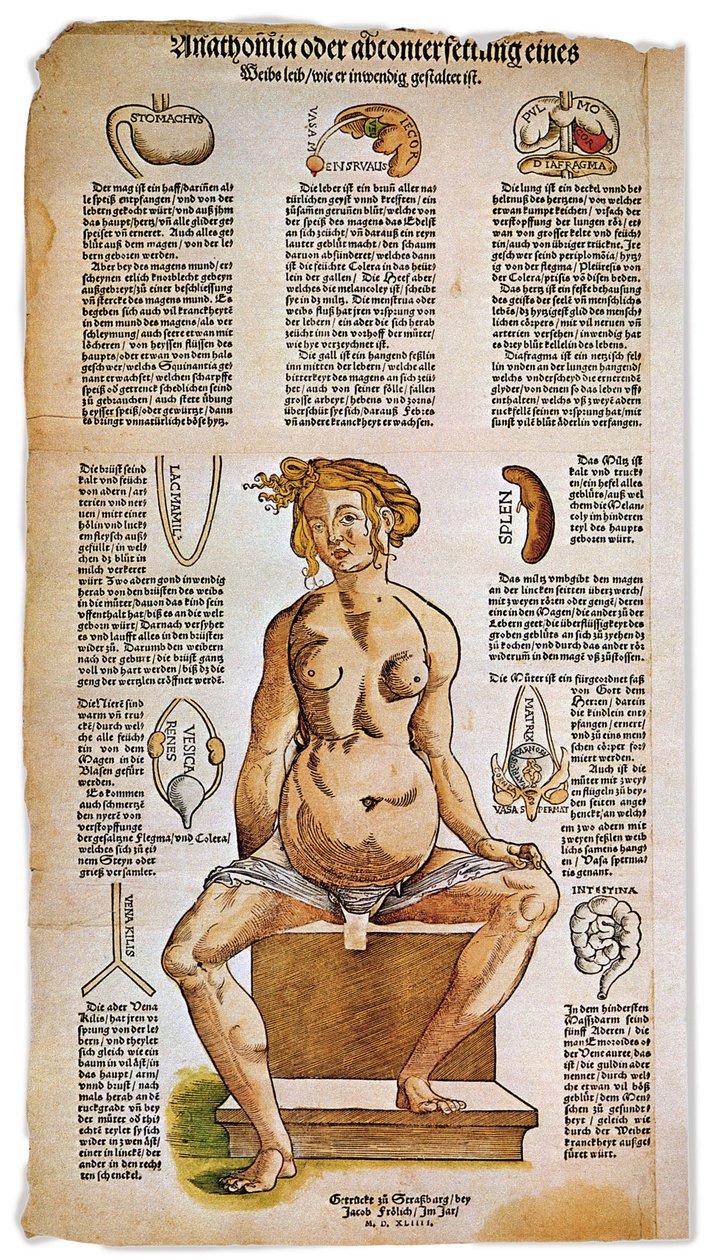 医学：文艺复兴时期医学论文中描述女性解剖结构的解剖板。围绕着一个坐着的女性形象，列出并图解了肝脏、肺和横膈膜、胃和生殖器官等重要器官。彩色雕版 作者 未知艺术家