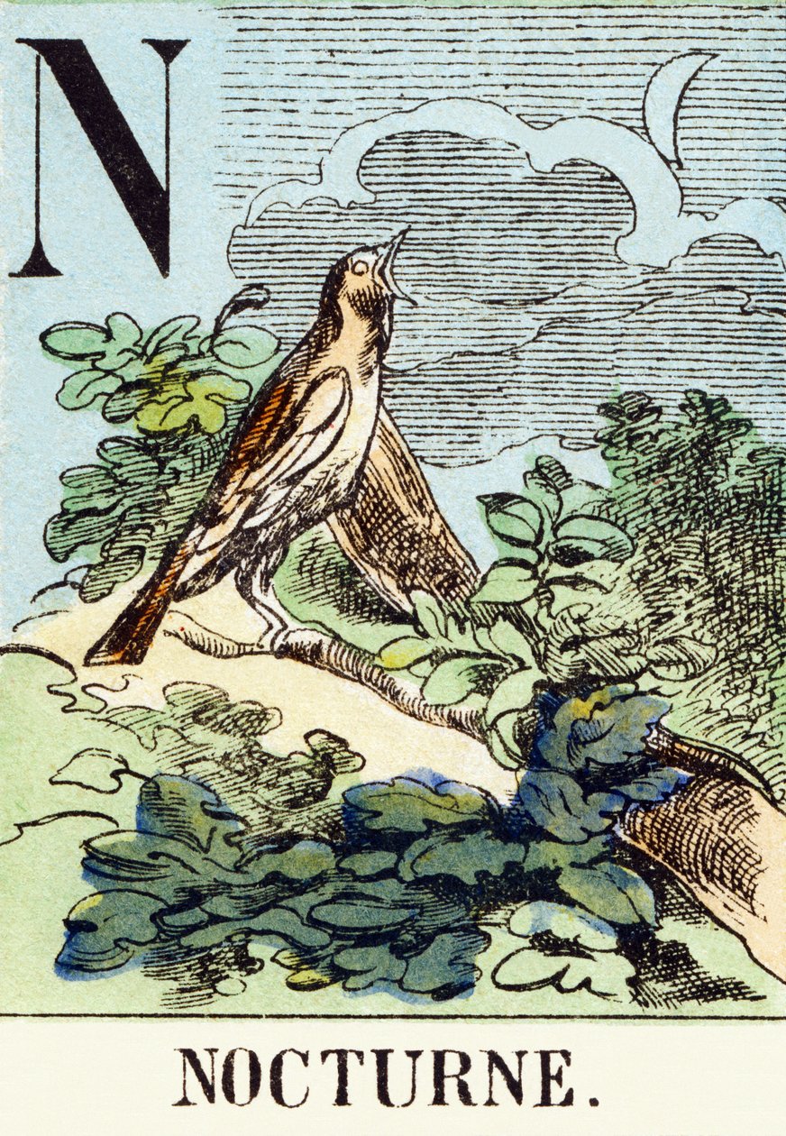 N：夜曲-狩猎字母，约1890年（雕刻） 作者 不明