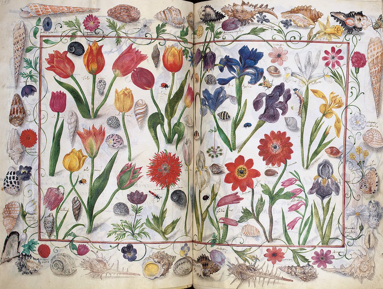 Philipp Hainhofer专辑Amicorum的页面，1596-1633年 作者 不明