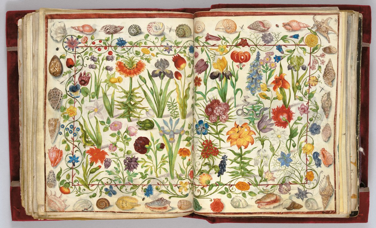 Philipp Hainhofer专辑Amicorum的页面，1596-1633年 作者 不明