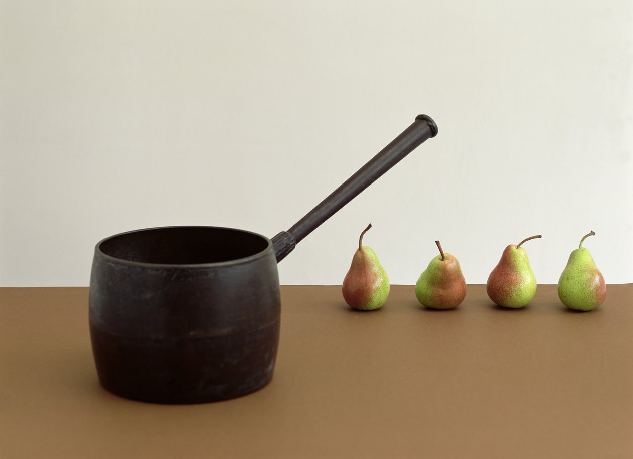 潘和四个梨（模仿威廉·斯科特）2005（照片） 作者 未知艺术家