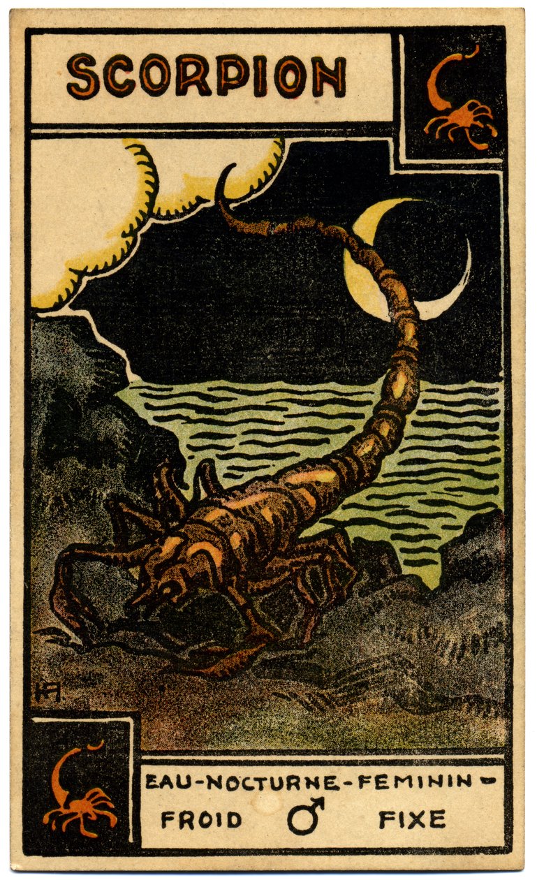 超自然现象。 占星术。 天蝎座（天蝎座）。 占星卡来自：Le Tarot Astrologique（占星塔罗牌），作者：Georges Muchery，法国 作者 未知艺术家