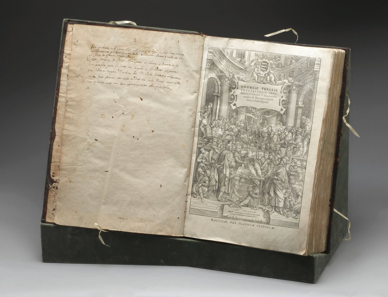病理学，解剖 Andreas Vesalius 解剖尸体的木刻 作者 不明