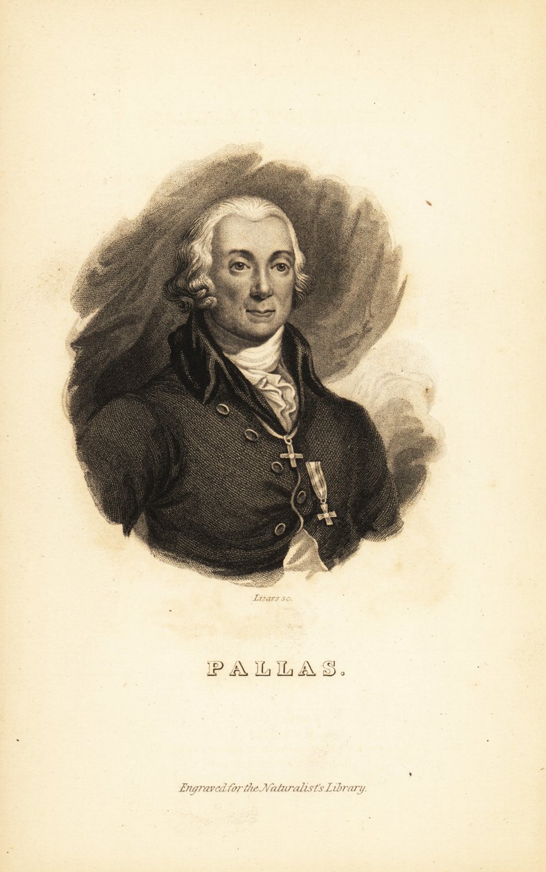 Peter Simon Pallas, German explorer, zoologist and botanist 作者 不明