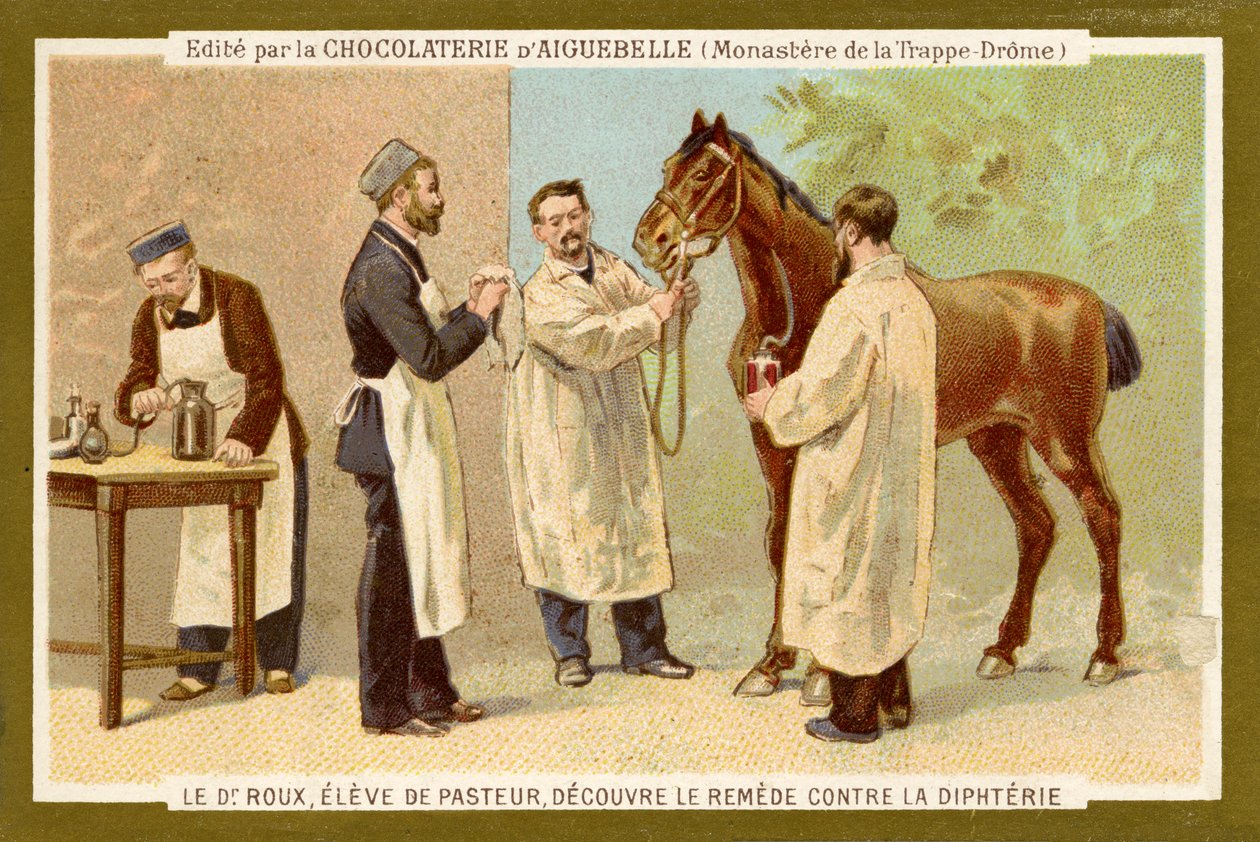 Pierre Paul Émile Roux 作者 未知艺术家