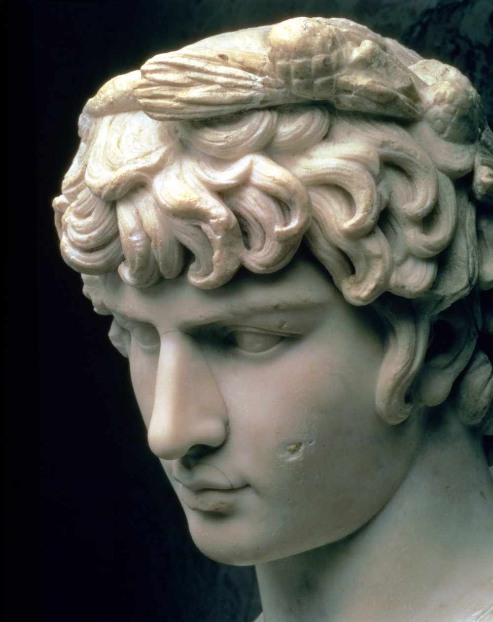 Portrait head of Antinous wearing the wreath of Dionysus, part of a statue from the villa of Emperor Hadrian at Tivoli, Roman, 2nd century (marble) 作者 不明