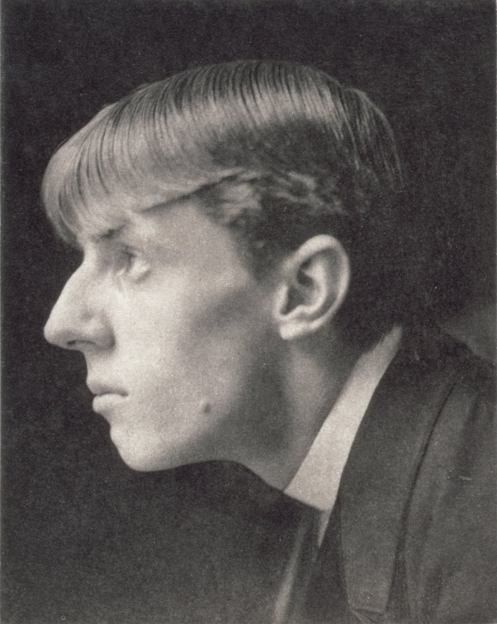 弗雷德里克·埃文斯 (1853-1943) 的奥布里·比尔兹利 (1872-98) 肖像（棕褐色照片） 作者 不明