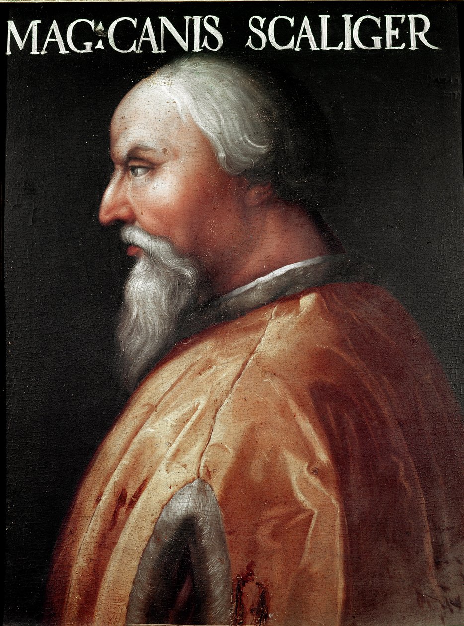 维罗纳勋爵坎-弗朗切斯科-德拉-斯卡拉（Can Francesco della Scala，又称坎格兰德一世，1291-1329 年）的肖像，佚名画作。乌菲齐美术馆（办公室），乔维安娜收藏集 作者 未知艺术家