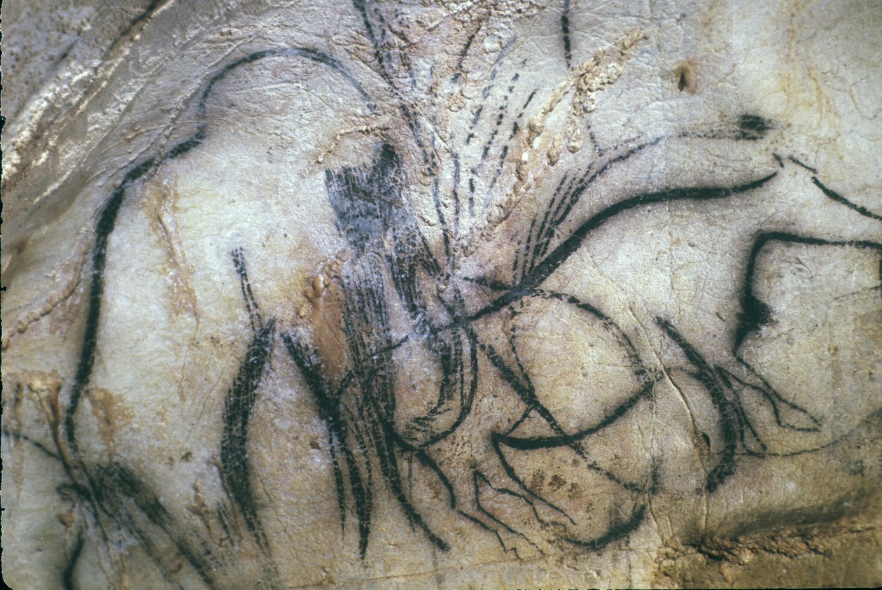 Prehistoric cave of Pech Merle/Chapel of the mammoths/25,000 years/Cabrerets/Lot/Midi Pyrenees/France 作者 不明