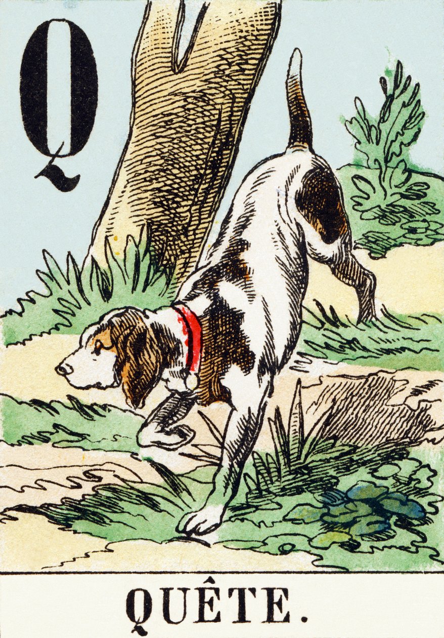 Q：Quete-A《狩猎字母》，约1890年（雕刻） 作者 不明
