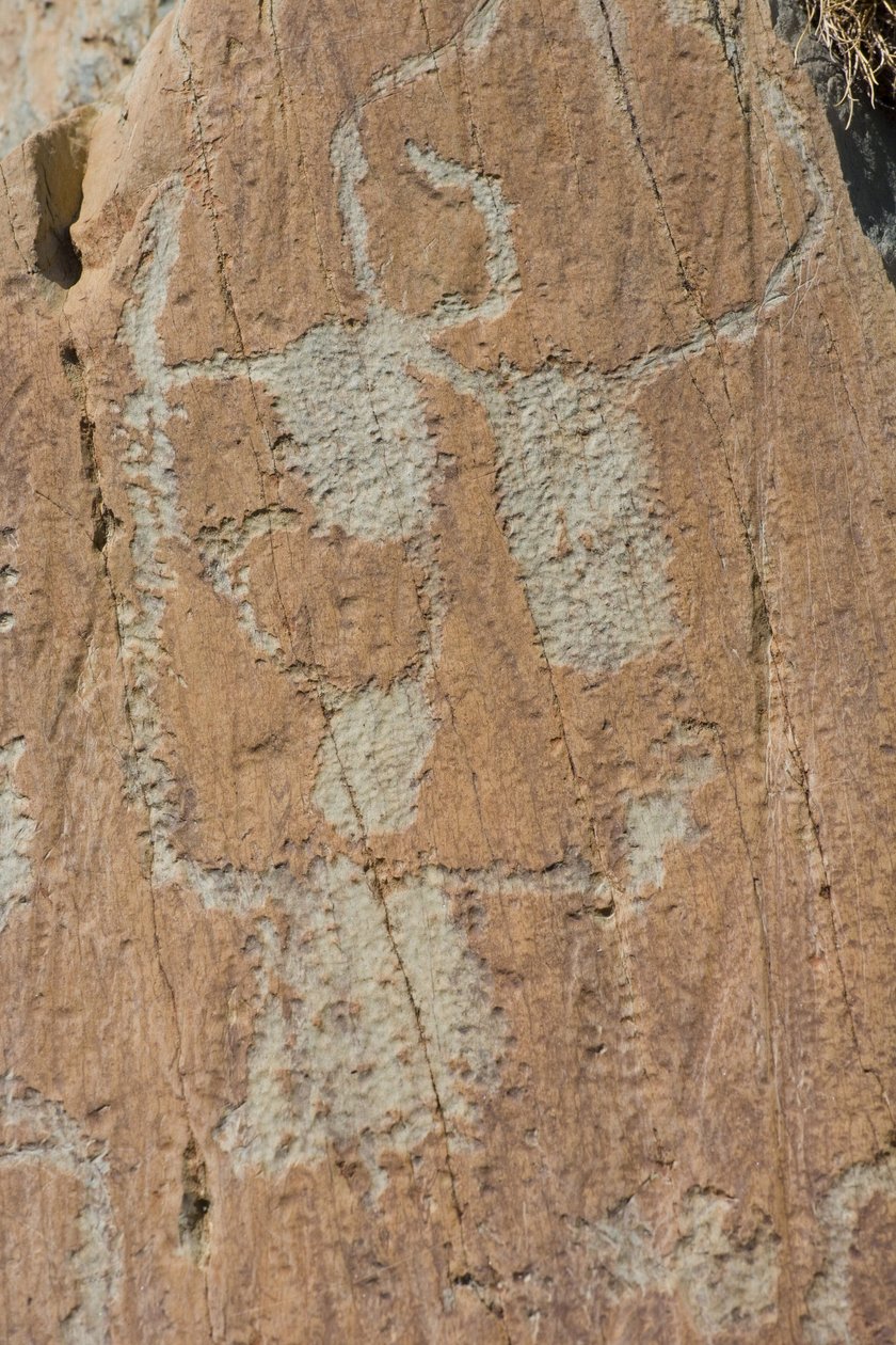 Vallee de Fontanalba/Corniformes emboites 或牛/Mercantour National Park/Tende/Alpes-Maritimes/法国的岩石雕刻 作者 不明