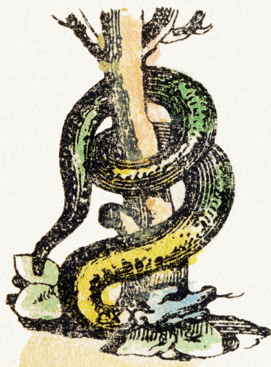 S-蛇-儿童娱乐字母c.1890年（石版画） 作者 不明