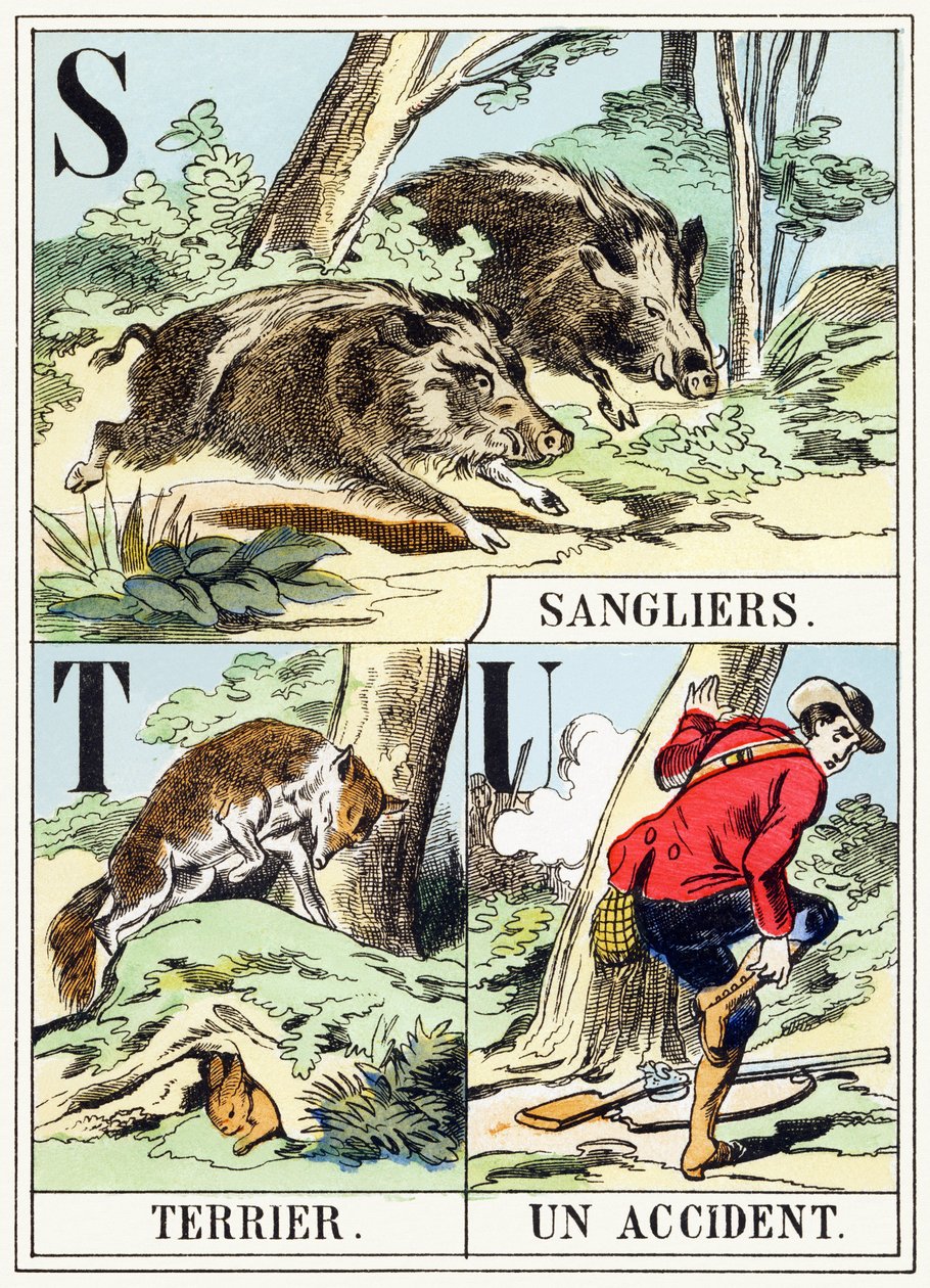 S T U ：Sanglier，Terrier，意外 - The Hunting Alphabet，c.1890（雕刻） 作者 不明