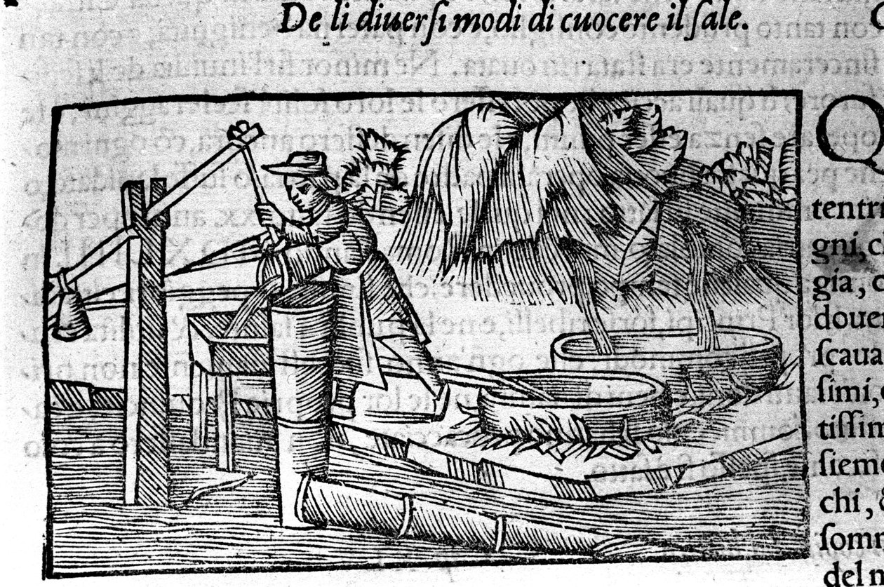 制盐、烹调。 Olaus Magnus (1490 - 1557) 的蚀刻，瑞典宗教和地理主题，“北方描述”，威尼斯 作者 不明