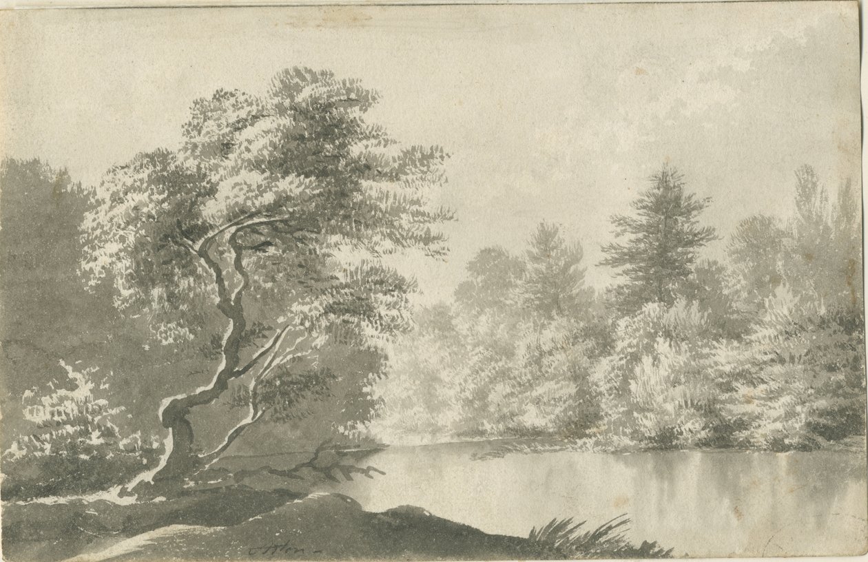 Shenstone-小阿斯顿附近的游泳池：棕褐色水墨画，nd [19分] 作者 不明