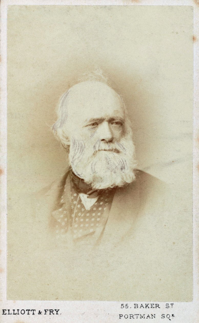 查尔斯-莱尔爵士，英国地质学家，约1865-1875年 作者 不明