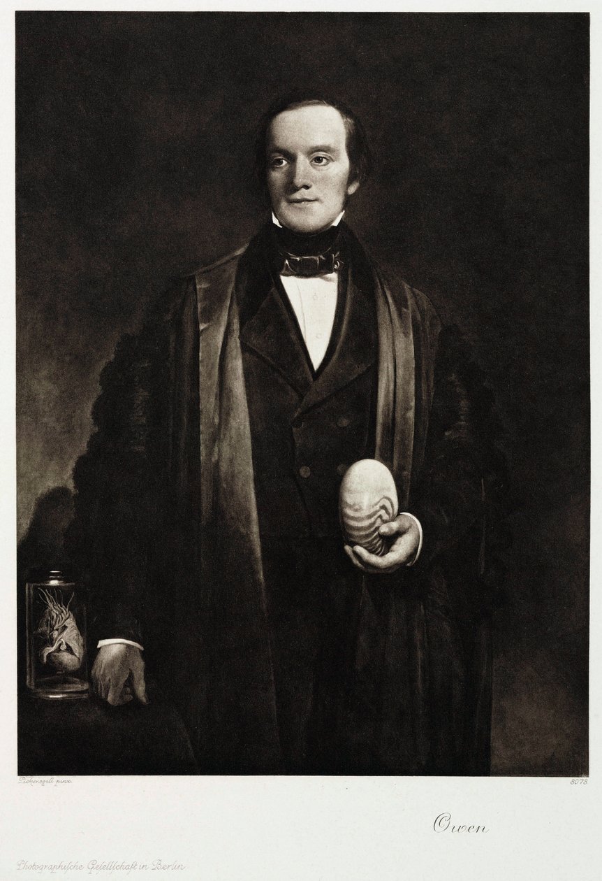 理查德欧文爵士，英国博物学家和古生物学家，c 1845 作者 不明