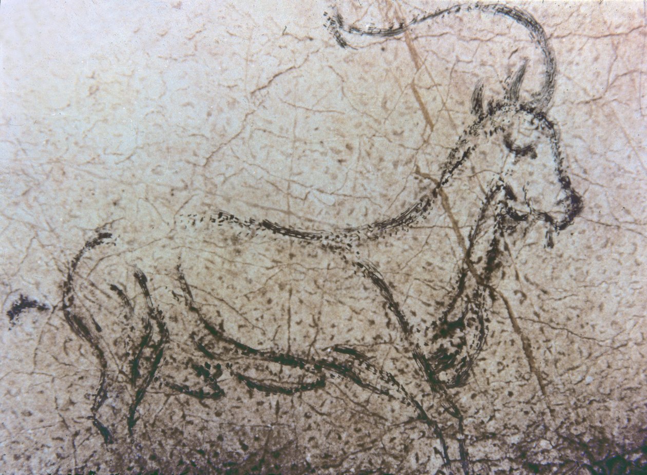 西班牙保姆羊，旧石器时代，约公元前 40000-12000 年（岩画） 作者 未知艺术家