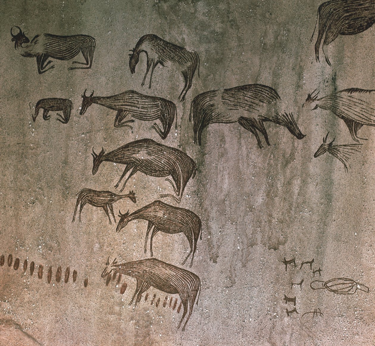 坦桑尼亚，多多马地区，岩画 作者 扬·科内利斯·沃达努斯