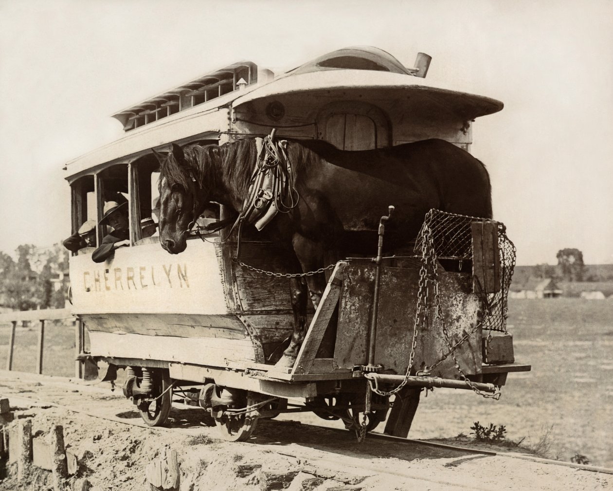 谢尔林马车，科罗拉多州丹佛，约1890年（黑白照片）。 作者 尼古拉斯·利兹